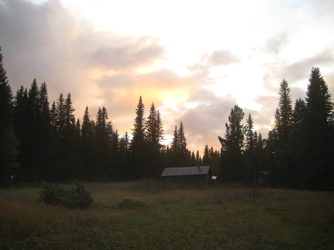 Fäbodmiljö på Granåsen