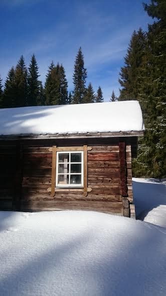 Snötäckta banor