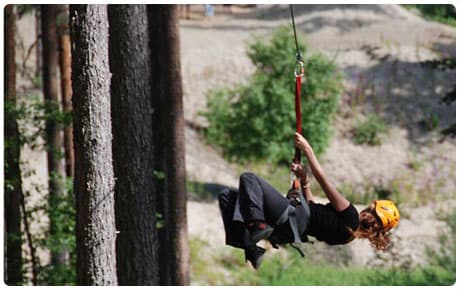 Zipline genom tallskogen